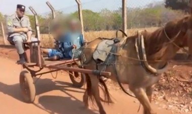 Em Goiás: Homem é preso e levado em carroça até viatura da PM