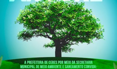 21 de setembro, é o Dia da Árvore e a Prefeitura de Ceres irá promover uma ação voltada a conscientização sobre a importância das árvores para a sociedade