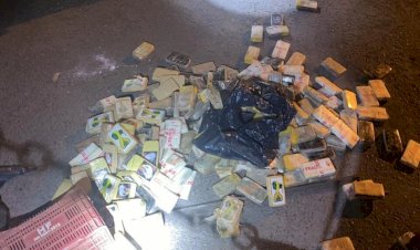 Em Goiás: Carga de cocaína avaliada em R$ 32 milhões é apreendida nas imediações