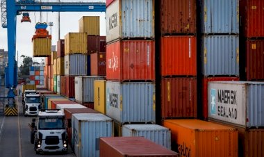 Sete produtos goianos têm alta nas exportações nos nove meses de 2021