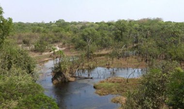Polícia investiga extinção de afluentes do rio Araguaia; 20 córregos podem ter secado
