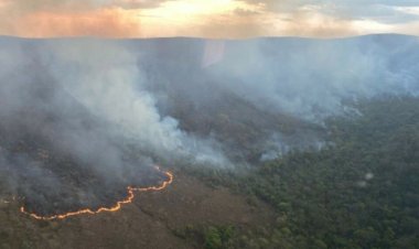 Uma só pessoa foi responsável por metade da área destruída por incêndio na Chapada dos Veadeiros