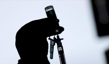 Butantan recebe autorização para iniciar testes de soro anticovid