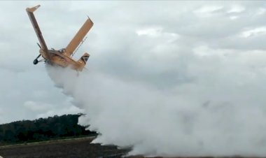 Avião agrícola cai em fazenda no Tocantins após asas quebrarem e piloto sobrevive