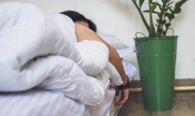 Estudo indica ‘ponto ideal’ de sono para proteger saúde e o cérebro dos adultos