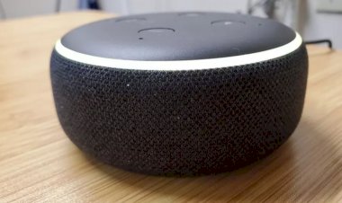 Alexa: Amazon faz atualização após assistente sugerir desafio perigoso a garota de 10 anos