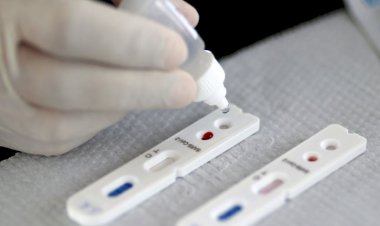 Goiás não registra novos casos de covid-19 nas últimas 24 horas