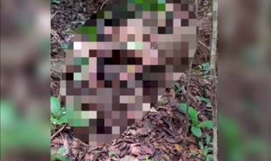 Corpo em estado de decomposição é encontrado em Jaraguá