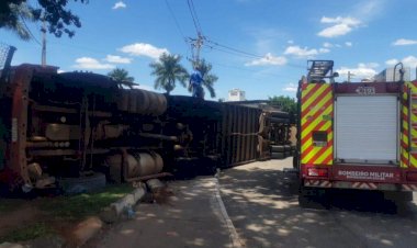 Em Goiás: Caminhão que transportava mais de 50 cabeças de gado tomba na GO-070