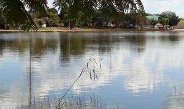Jacarés ainda vivem em lagoa de Porangatu 7 meses após ataque a criança