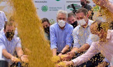 Goiás aposta em recorde na colheita de soja e espera 30 milhões de toneladas