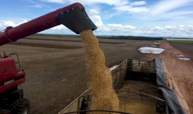 Como crise na Rússia e Belarus encareceu os fertilizantes para o Brasil