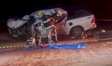 Idoso morre após colidir Toyota Hilux com caminhão na GO-154 em Santa Terezinha