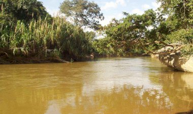 Estudo aponta substâncias químicas ou radioativas na água de 59 cidades de Goiás