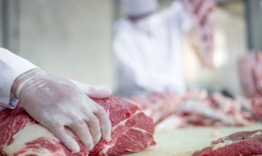 China suspende importação de frigorífico em Goiás após suspeita de Covid-19