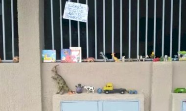 Criança expõe brinquedos para doação e propõe ação solidária, em Goiânia