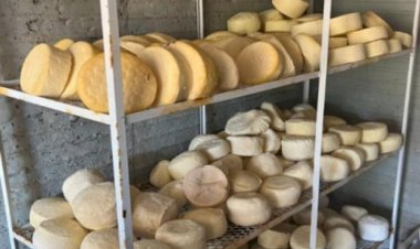 Dupla é presa em Rialma e Rubiataba por suspeita de furtar mais de 1 tonelada de queijo em chácaras, em Mundo Novo