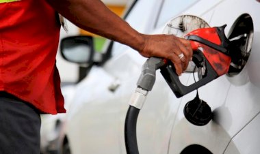 Preços da gasolina e do diesel têm leve queda; defasagem do diesel volta a subir