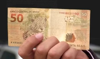 Rendimento médio atinge menor valor em 10 anos e índice de desigualdade aumenta em Goiás, diz IBGE
