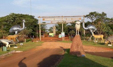 Desmatamento ilegal é encontrado às margens do Parque Nacional das Emas, em Goiás