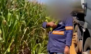 Gerente de fazenda é denunciado por discriminar caminhoneiro filmado ao receber 'lição de moral' enquanto tentava furtar milho