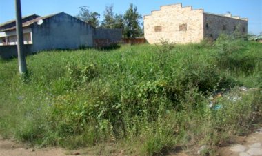 Ceres: Prefeitura estabelece cronograma de fiscalização para terrenos e lotes baldios. Veja as datas e bairros