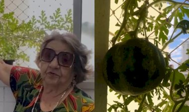 Em Goiás: Professora aposentada planta sementes que seriam de cebolinha, mas se surpreende ao colher melancias em apartamento