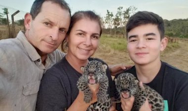 Família que comanda Instituto Onça-Pintada é famosa na web ao publicar rotina com bichos; local foi multado pela morte de 72 animais
