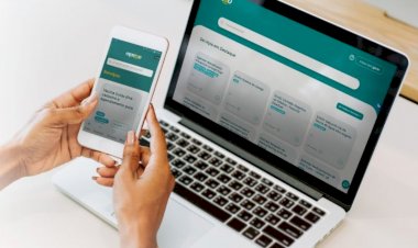 Motoristas de Goiás podem solicitar transferência de pontuação da CNH pela internet; veja como
