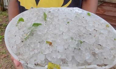 Inmet emite alerta de tempestade com granizo e rajadas de vento para mais de 100 cidades de Goiás; veja quais