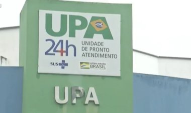 Idoso morre após ser atacado por abelhas em Rialma, Goiás