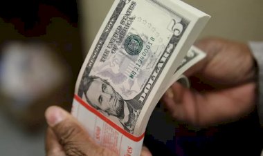 Dólar fecha em queda, mas tem maior alta semanal desde junho de 2020