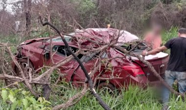 Em Goiás: Mulher morre após perder controle da direção e bater em árvores na BR-158