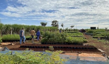 CRV Industrial firma parceria com Projeto Plantando Água