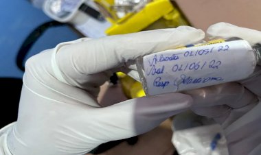 Em Goiás: Comunidade terapêutica clandestina é fechada após manter pacientes presos dentro de celas, diz delegado
