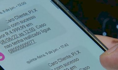 Golpe da falsa central telefônica: entenda golpe em que produtor rural de Goiás perdeu mais de R$ 1 milhão