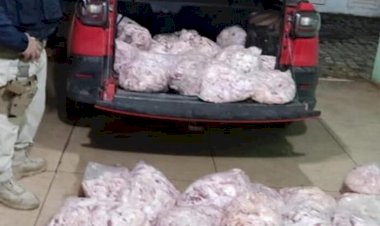 PRF apreende na BR-153, em Rialma carro carregado com retalhos de carne sem refrigeração e com forte odor