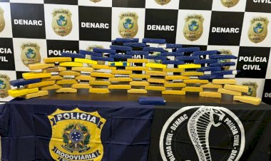 Goiânia: dupla é presa com cocaína avaliada em R$ 10 milhões dentro caminhão de transportadora
