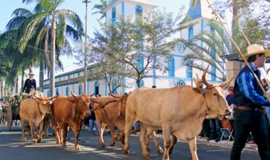Desfile de carros de boi na Romaria de Trindade pode virar patrimônio cultural