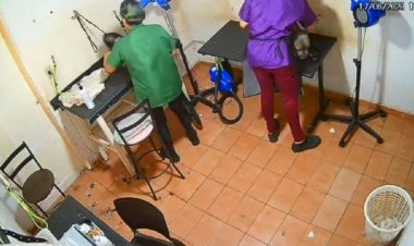 Cachorro morre após levar socos e ser enforcado em pet shop de Goiânia
