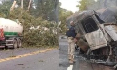 Motorista morre após carreta bitrem sair da pista na BR-153 bater em árvore e pegar fogo, em Santa Tereza de Goiás