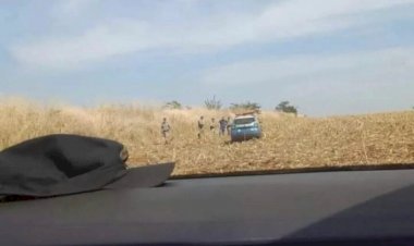 Em Goiás: Jovens que estavam desaparecidos são encontrados mortos