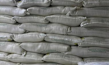 Procon Goiânia apreende mais de 11 toneladas de produtos agrícolas e agropecuários vencidos