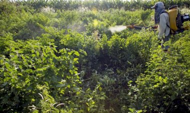 PF cumpre buscas em operação contra contrabando de agrotóxicos em Goiás