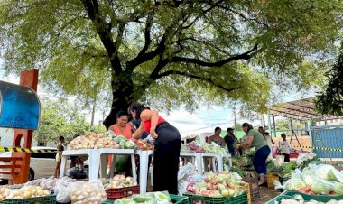 Secretaria de Desenvolvimento Social de Ceres faz entrega de verduras e legumes a comunidade