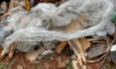 Em Goiás: Homem é suspeito de agredir e matar cachorro