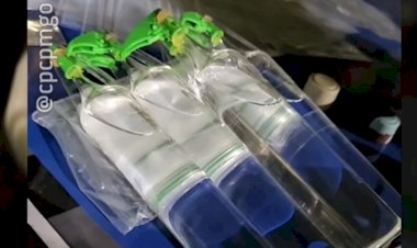Em Goiás: Homem é preso com drogas quando ia para festa
