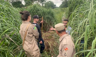 Polícia Civil de Goiás localiza corpo e investiga possível cemitério clandestino