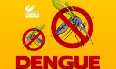 Prefeitura de Ceres promove manejo contra a Dengue. Confira alguns cuidados para evitar a proliferação do Aedes aegypti