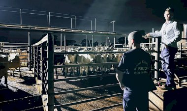 Operação Boi Gordo fiscaliza frigoríficos em todas as regiões de Goiás